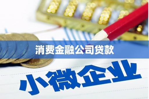 渝中消费金融公司贷款