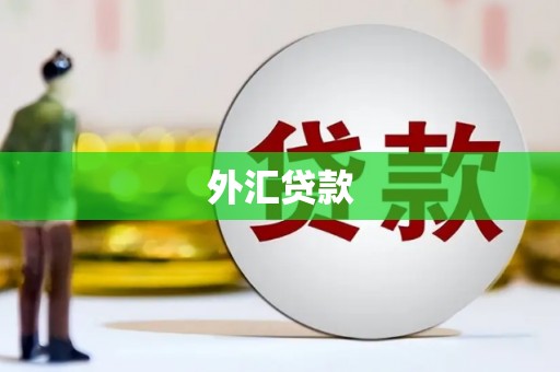 渝中外汇贷款