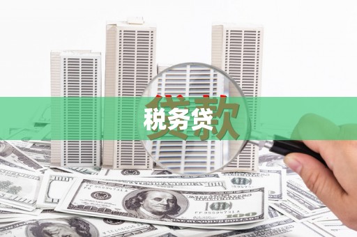 渝中税务贷