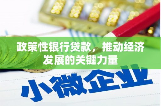 渝中政策性银行贷款，推动经济发展的关键力量