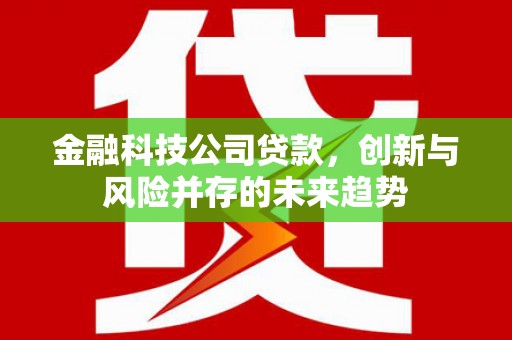 渝中金融科技公司贷款，创新与风险并存的未来趋势