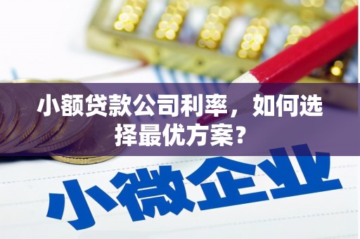渝中小额贷款公司利率，如何选择最优方案？