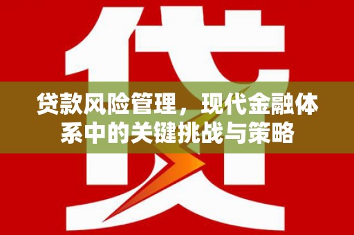 渝中贷款风险管理，现代金融体系中的关键挑战与策略