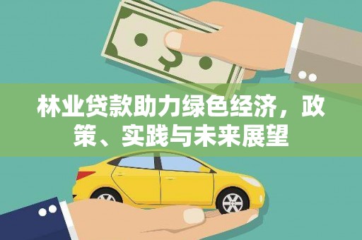 渝中林业贷款助力绿色经济，政策、实践与未来展望