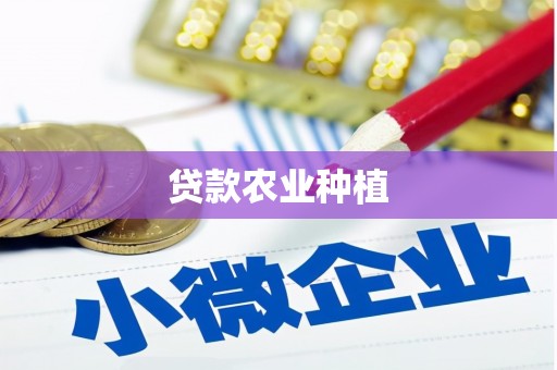 渝中贷款农业种植