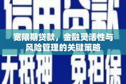 渝中宽限期贷款，金融灵活性与风险管理的关键策略