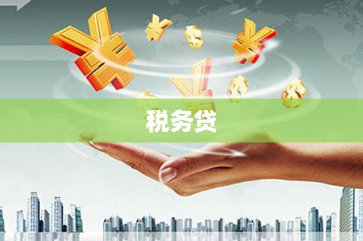 渝中税务贷
