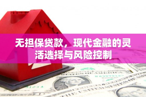 渝中无担保贷款，现代金融的灵活选择与风险控制