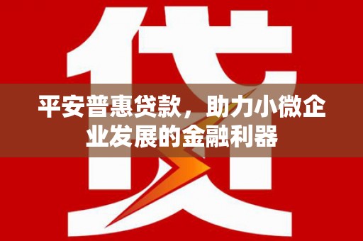 渝中平安普惠贷款，助力小微企业发展的金融利器
