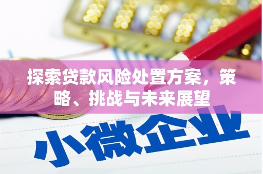 渝中探索贷款风险处置方案，策略、挑战与未来展望