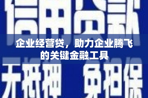 渝中企业经营贷，助力企业腾飞的关键金融工具