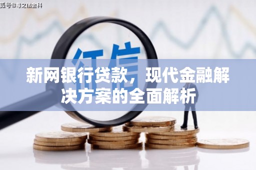 渝中新网银行贷款，现代金融解决方案的全面解析