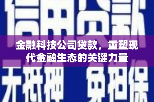 渝中金融科技公司贷款，重塑现代金融生态的关键力量