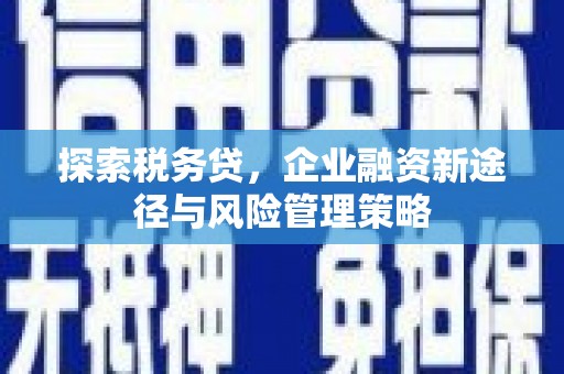 渝中探索税务贷，企业融资新途径与风险管理策略