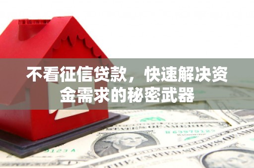 渝中不看征信贷款，快速解决资金需求的秘密武器