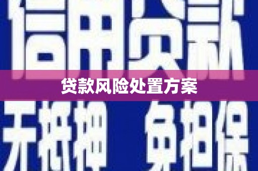 渝中贷款风险处置方案