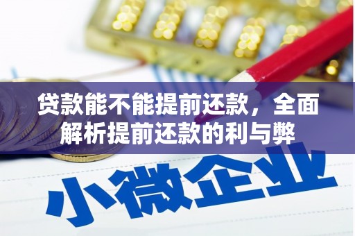 渝中贷款能不能提前还款，全面解析提前还款的利与弊