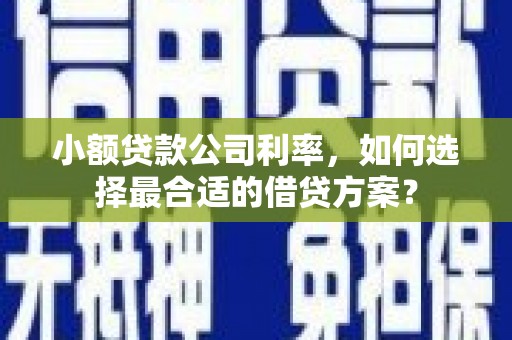 渝中小额贷款公司利率，如何选择最合适的借贷方案？