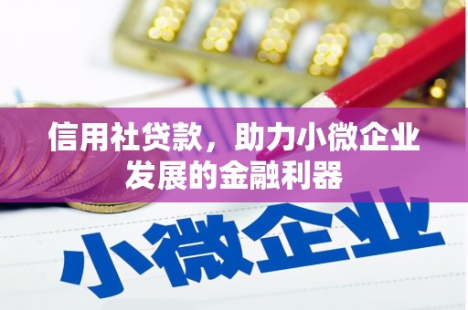 渝中信用社贷款，助力小微企业发展的金融利器