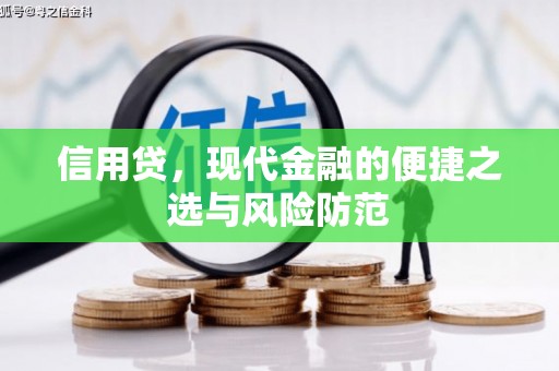 渝中信用贷，现代金融的便捷之选与风险防范