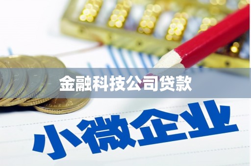 渝中金融科技公司贷款