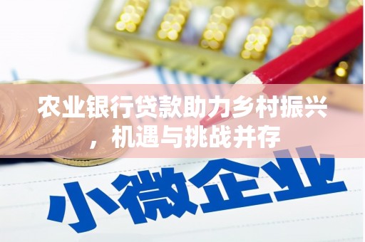 渝中农业银行贷款助力乡村振兴，机遇与挑战并存