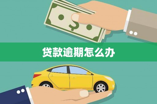 渝中贷款逾期怎么办