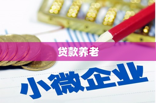 渝中贷款养老