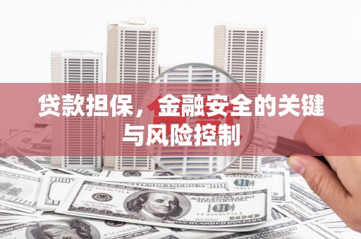 渝中贷款担保，金融安全的关键与风险控制