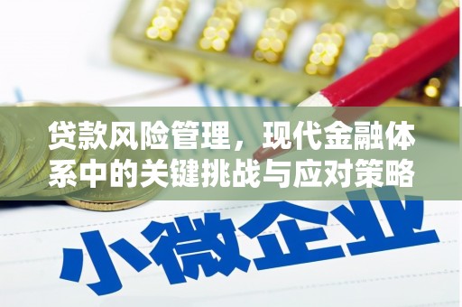 渝中贷款风险管理，现代金融体系中的关键挑战与应对策略