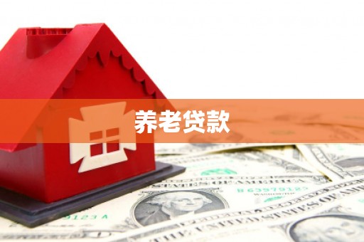 渝中养老贷款