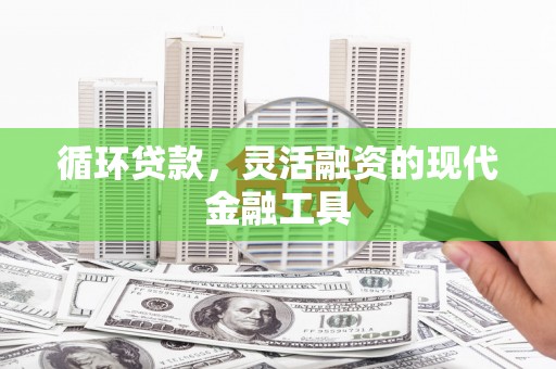 渝中循环贷款，灵活融资的现代金融工具