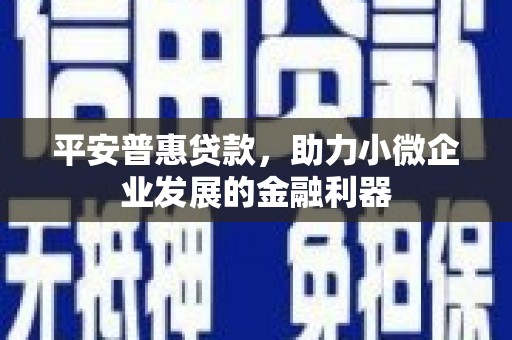 渝中平安普惠贷款，助力小微企业发展的金融利器