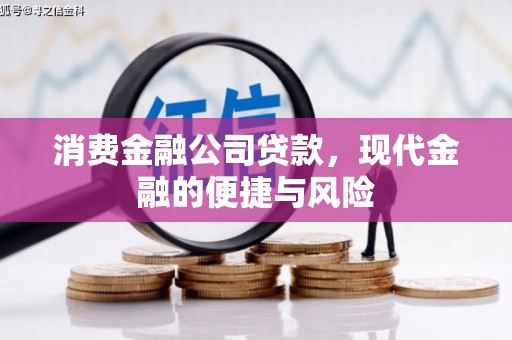 渝中消费金融公司贷款，现代金融的便捷与风险