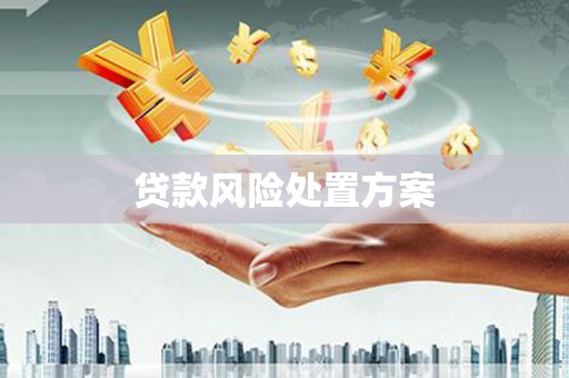 渝中贷款风险处置方案