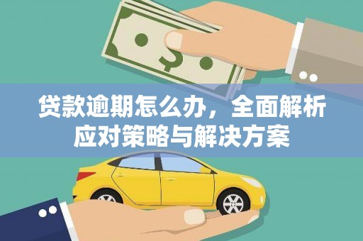 渝中贷款逾期怎么办，全面解析应对策略与解决方案